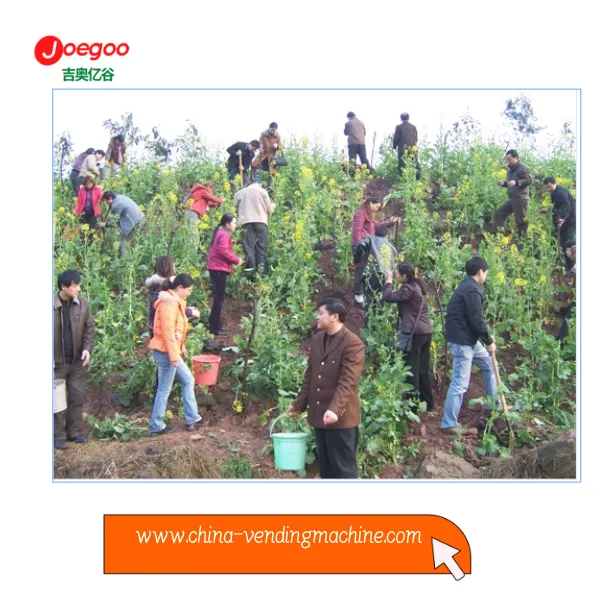 جیوگو کمپنی ایکسپورٹنگ ڈیپارٹمنٹ نے پلانٹ فیسٹیول کے لئے رضاکارانہ سرگرمی کا ...